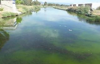 Balıkesir’de çevre felaketi