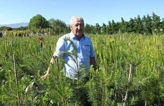 Balıkesirli üretici Kanal İstanbul için 15 bin...