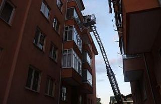 Balkona düşen yaralı ebabil kuşunu itfaiye kurtardı