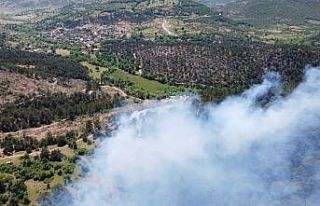 Balya’daki orman yangını kontrol altına alındı