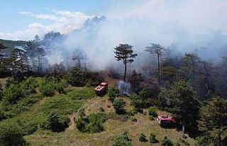Balya’daki yangın havadan görüntülendi