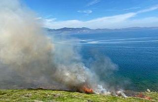 Bandırma’da arazi yangını