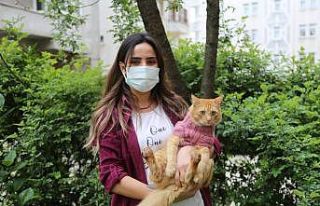 Barınaktan aldığı kedisini bir an olsun yanından...