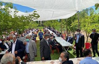 Barış elçisi Arvas yeni sulhlere öncülük ediyor