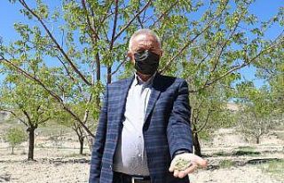 Başkan Aktepe’den Cumhurbaşkanı Erdoğan’a...