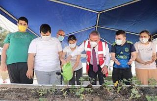 Başkan Böcek özel öğrencilerle buluştu çilek...