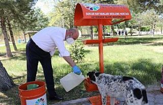 Başkan Çolakbayrakdar’dan küçük dostlara büyük...