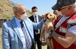 Başkan Demirtaş can dostlarını eliyle besledi