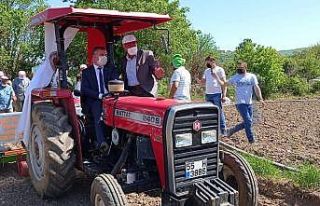 Başkan Özdemir traktörle nane dikimi yaptı