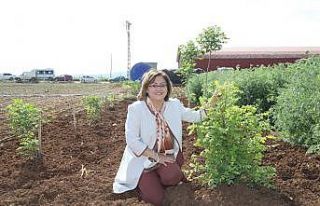 Başkan Şahin Oğuzeli’nde tarıma verilen destekleri...