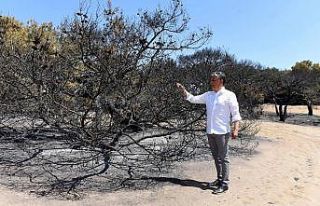 Başkan Uysal, yangın bölgesinde