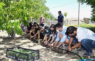 Başkent’te genç çiftçi sayısı her geçen gün...