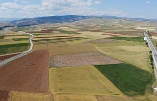 Bayat Ovası’nda 250 bin dönüm tarım arazisini...