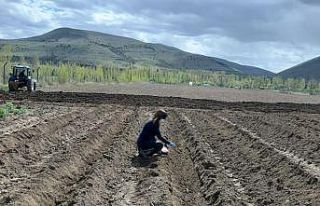 Bayburt Üniversitesi uygulama ve araştırma sahalarında...
