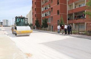 Baydilli yol çalışmalarını inceledi