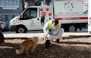 Bayraklı Belediyesi veterinerleri, her gün can dostları...