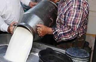 Bayram boyunca çiğ süt toplanacak