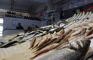 Bayram sonrası kıyı balıkçıları da balıkçı...