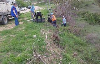 Belediyeden mıntıka temizliği