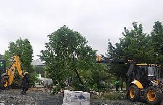Beylikdüzü’nde belediye ekiplerinin 160 ağacı...