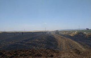 Biçerdöver hasat yaparken yangına neden oldu