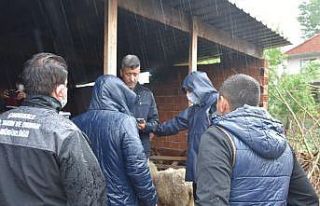 Biga’da 9 koyun yağmur sularına kapıldı