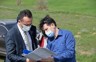 Bilecik’te 2 bin dekarlık alanında yağlık ayçiçeği...