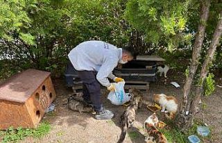 Bilecik’te sokak hayvanları unutulmadı