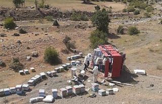 Bingöl’de arı yüklü kamyon devrildi