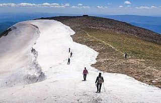 Bingöl’de doğa gezisi, 2900 rakımlı Sülbüs’e...