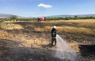Bir yıllık emeği küle döndü