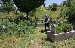 Bitlis Belediyesinden mezarlık temizliği