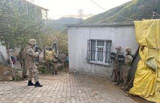 Bitlis merkezli terör operasyonu: 9 gözaltı