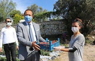 Bodrum belediyesi, tezgaha çıkarılamayan ürünleri...