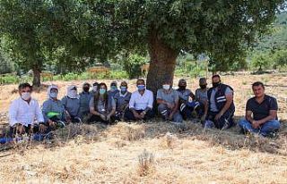 Bodrum’da 200 dönüm arazi tarıma kazandırıldı