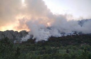 Bolu’da orman yangınında 7 hektar alan zarar gördü