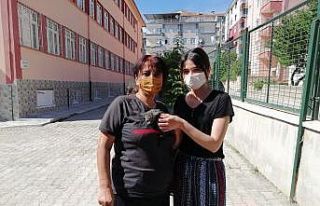 Boruya sıkışan yavru kediyi belediye ekipleri kurtardı