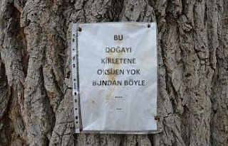 Bu ağaç doğayı kirletenlere oksijen vermiyor