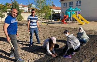 Bu da yerli tohum üretim okulu