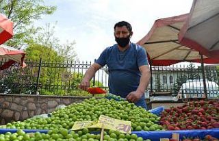 Bu meyvenin fiyatı yaklaşık 2 ayda 800 liradan...