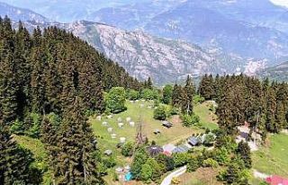 Bu obada ayı ve kurt görene 10 günlük tatil bedava