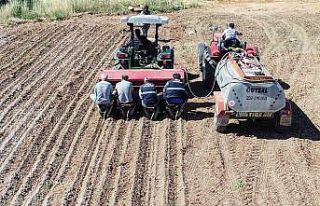 Buca Belediyesinden Gölet’e kekik
