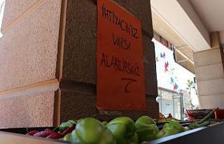 Buda askıda meyve ve sebze