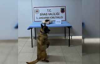 Buda yolcu beraberinde uyuşturucu