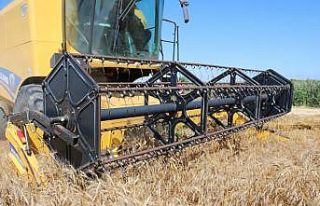 Buğday tarlası olan çiftçi, sünelere karşı...