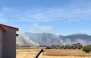 Buğday tarlasında çıkan yangın 30 dönümden...