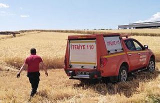 Buğday ve arpa tarlalarında korkutan yangın