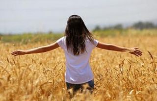 Buğdayda hasat başlıyor, çiftçi fiyat bekliyor