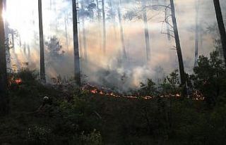 Burdur’da orman yangını vatandaşlar ve ekipler...