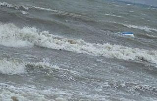 Burhaniye’de iğde ağacı otomobilin üzerine devrildi